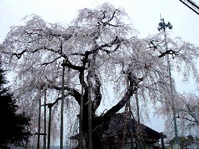 �g�c�ω����̂������